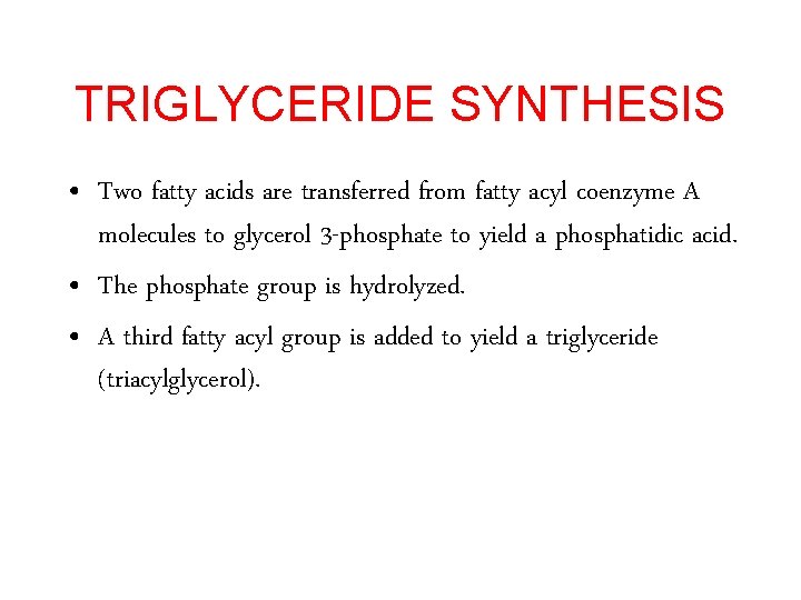 TRIGLYCERIDE SYNTHESIS • Two fatty acids are transferred from fatty acyl coenzyme A molecules