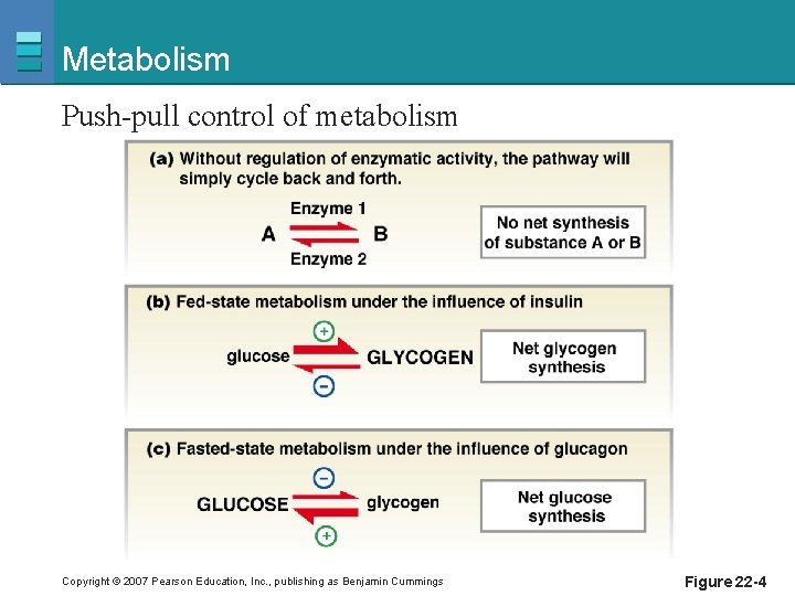 Metabolism Push-pull control of metabolism Copyright © 2007 Pearson Education, Inc. , publishing as