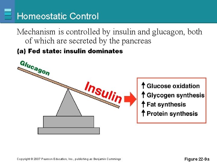 Homeostatic Control Mechanism is controlled by insulin and glucagon, both of which are secreted