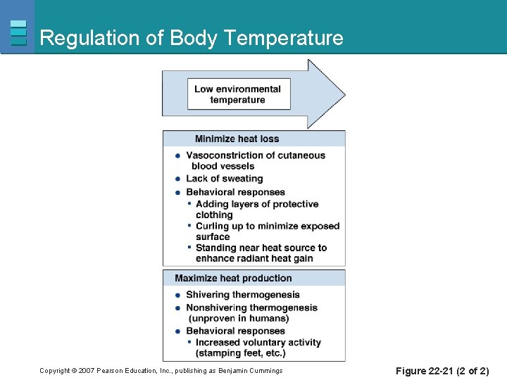 Regulation of Body Temperature Copyright © 2007 Pearson Education, Inc. , publishing as Benjamin