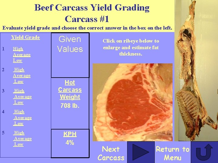 Beef Carcass Yield Grading CDE Practice Based on