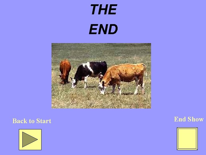 THE END Back to Start End Show 