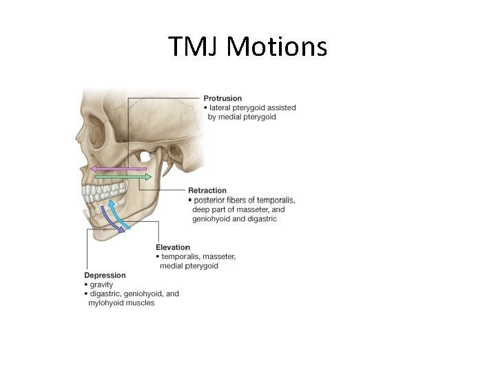 TMJ Motions 