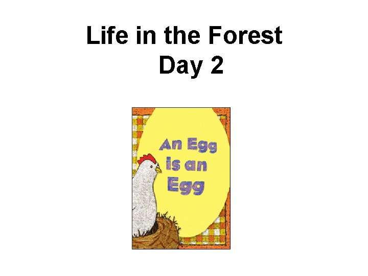 Life in the Forest Day 2 