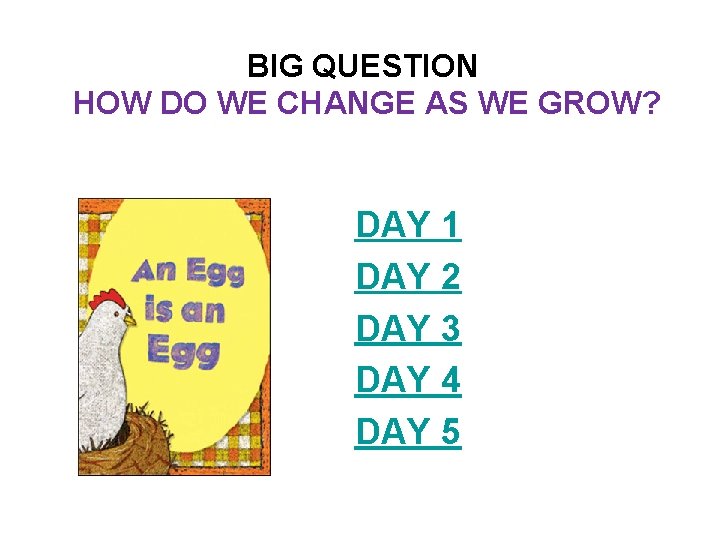 BIG QUESTION HOW DO WE CHANGE AS WE GROW? DAY 1 DAY 2 DAY