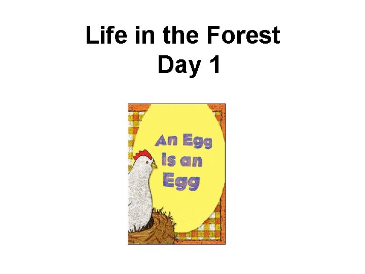 Life in the Forest Day 1 