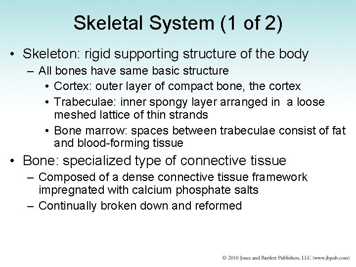 Skeletal System (1 of 2) • Skeleton: rigid supporting structure of the body –