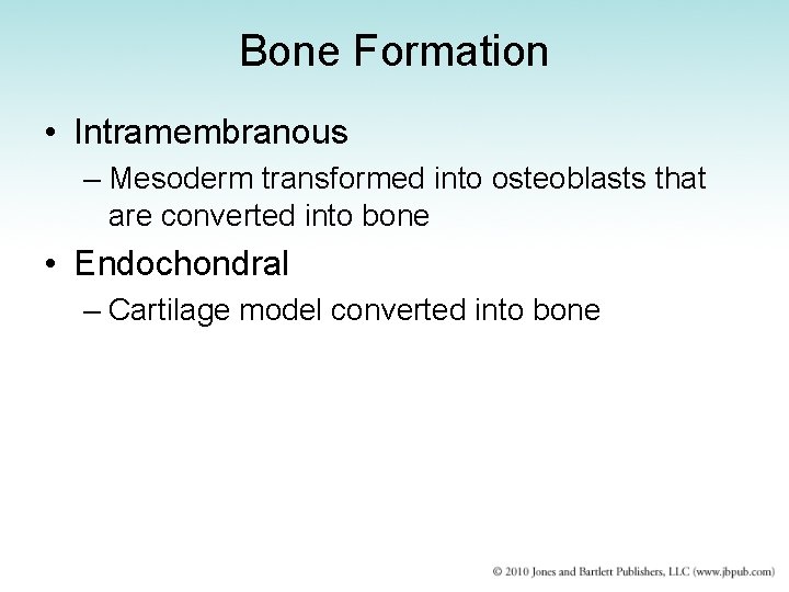 Bone Formation • Intramembranous – Mesoderm transformed into osteoblasts that are converted into bone