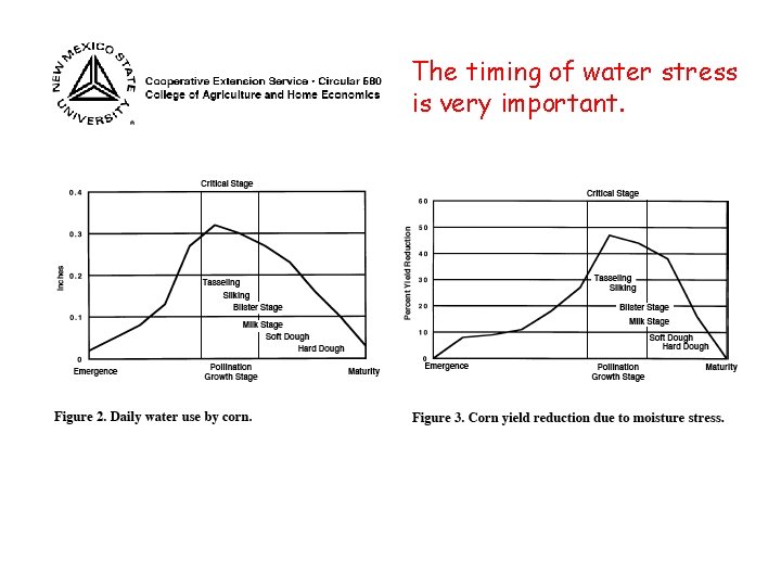 The timing of water stress is very important. 