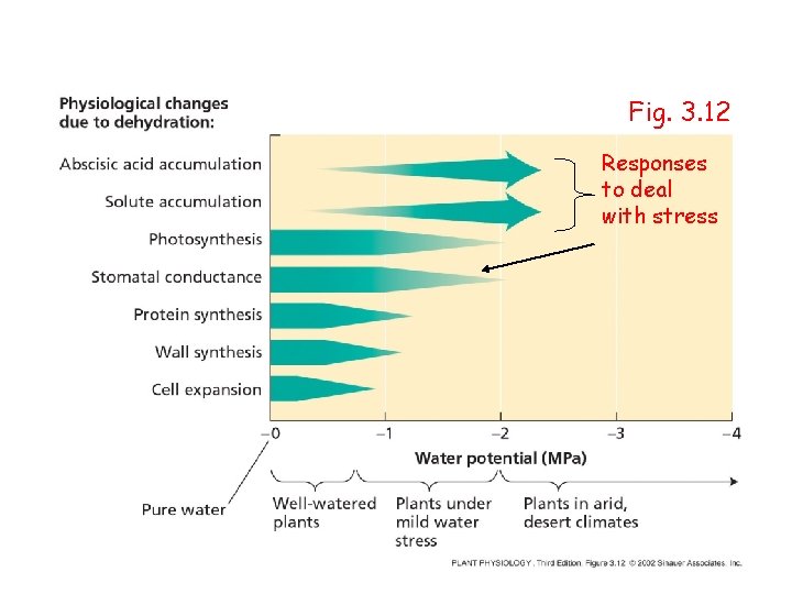 Fig. 3. 12 Responses to deal with stress 