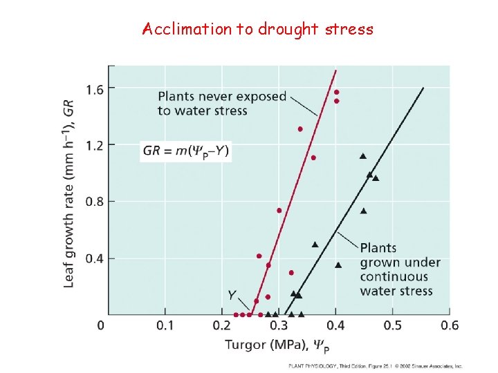 Acclimation to drought stress 