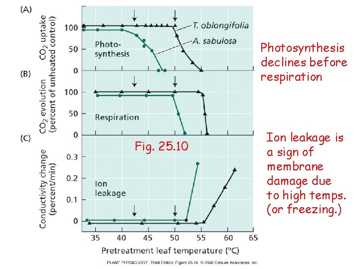 Photosynthesis declines before respiration Fig. 25. 10 Ion leakage is a sign of membrane