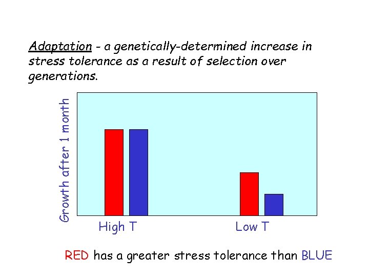 Growth after 1 month Adaptation - a genetically-determined increase in stress tolerance as a