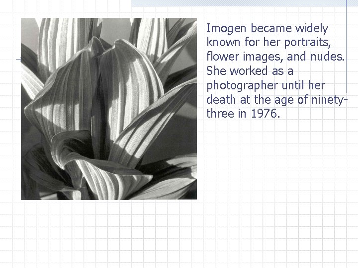 Imogen became widely known for her portraits, flower images, and nudes. She worked as