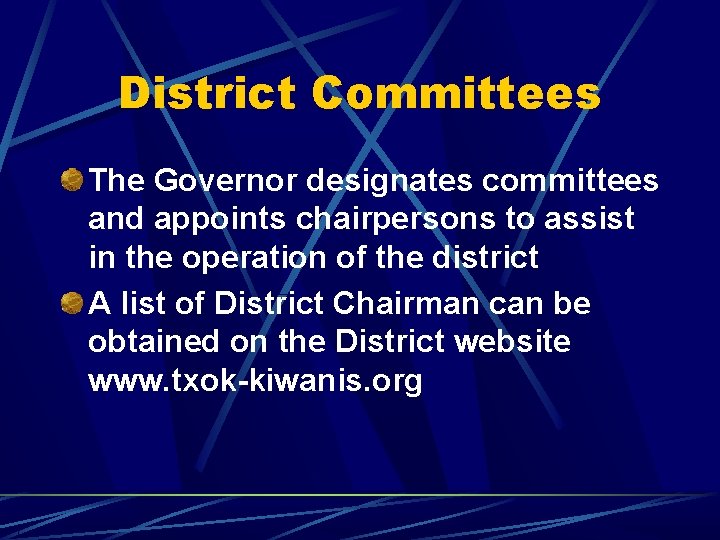 District Committees The Governor designates committees and appoints chairpersons to assist in the operation