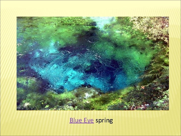 Blue Eye spring 