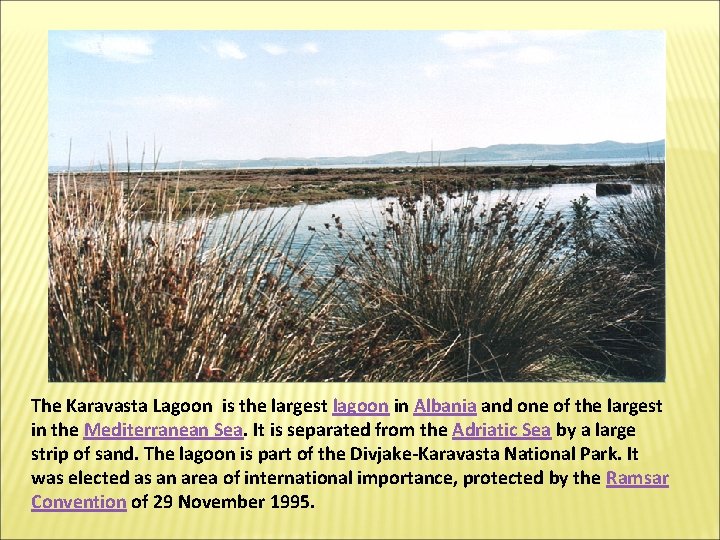 The Karavasta Lagoon is the largest lagoon in Albania and one of the largest