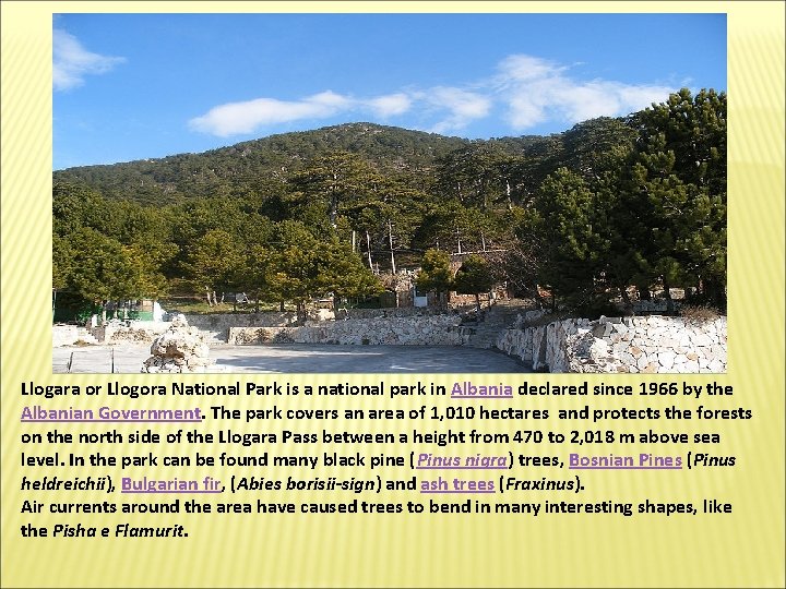 Llogara or Llogora National Park is a national park in Albania declared since 1966