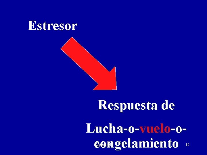 Estresor Respuesta de Lucha-o-vuelo-ocongelamiento Module 4 19 