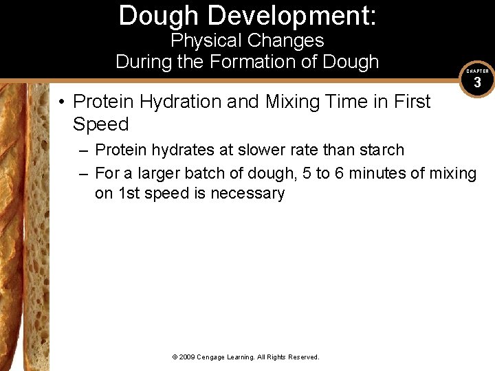 Dough Development: Physical Changes During the Formation of Dough • Protein Hydration and Mixing
