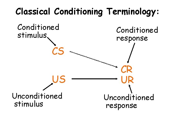 Classical Conditioning Terminology: Conditioned stimulus Conditioned response CS US Unconditioned stimulus CR UR Unconditioned