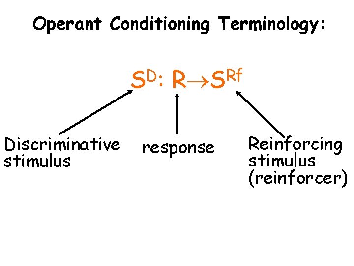 Operant Conditioning Terminology: D S : Discriminative stimulus Rf R S response Reinforcing stimulus