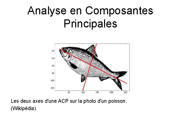 Analyse en Composantes Principales Les deux axes d'une ACP sur la photo d'un poisson.