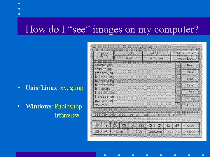How do I “see” images on my computer? • Unix/Linux: xv, gimp • Windows: