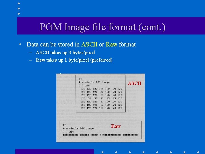 PGM Image file format (cont. ) • Data can be stored in ASCII or