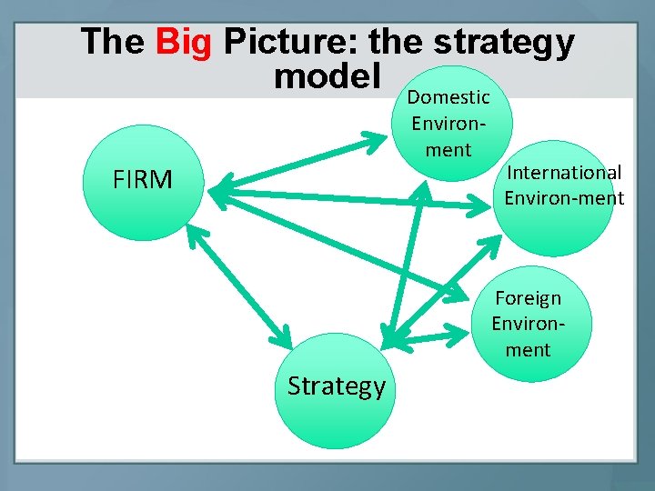 The Big Picture: the strategy model Domestic Environment FIRM International Environ-ment Foreign Environment Strategy