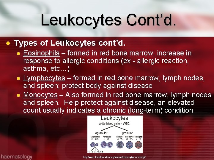 Leukocytes Cont’d. Types of Leukocytes cont’d. Eosinophils – formed in red bone marrow, increase