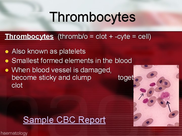 Thrombocytes (thromb/o = clot + -cyte = cell) Also known as platelets Smallest formed