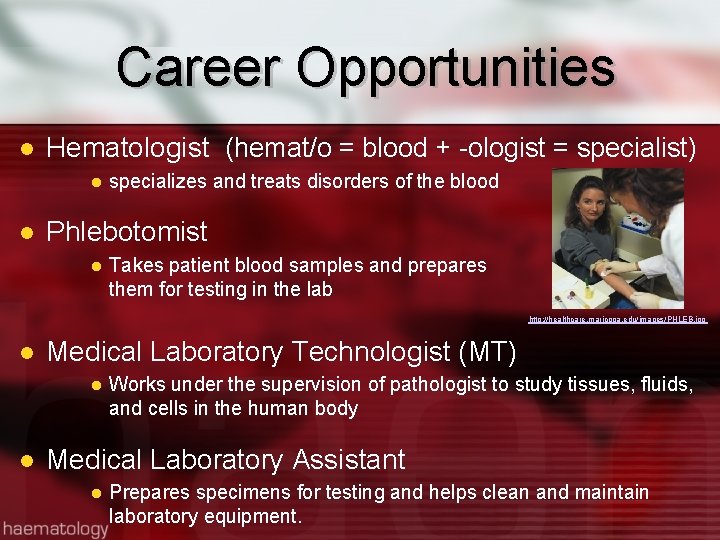 Career Opportunities Hematologist (hemat/o = blood + -ologist = specialist) specializes and treats disorders