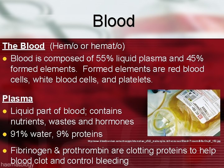 Blood The Blood (Hem/o or hemat/o) Blood is composed of 55% liquid plasma and