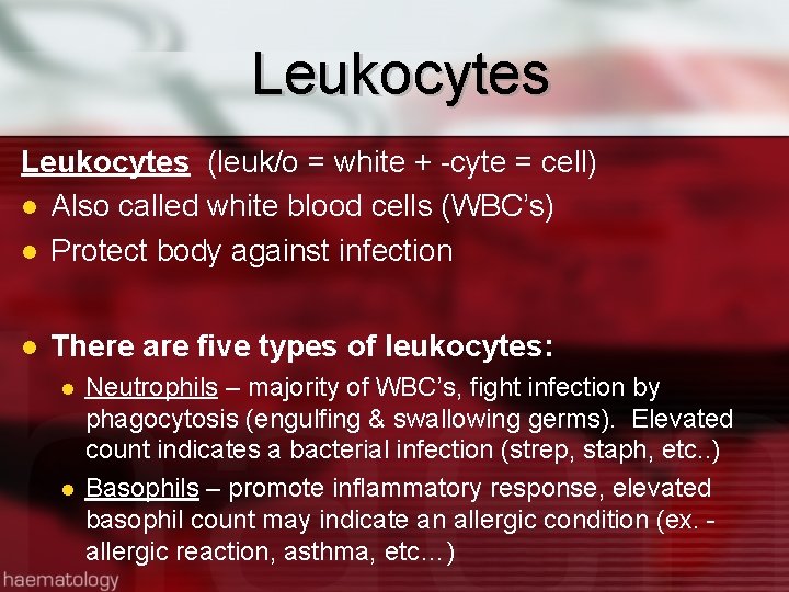 Leukocytes (leuk/o = white + -cyte = cell) Also called white blood cells (WBC’s)