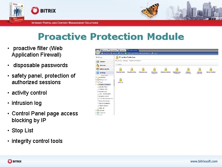 Proactive Protection Module • proactive filter (Web Application Firewall) • disposable passwords • safety
