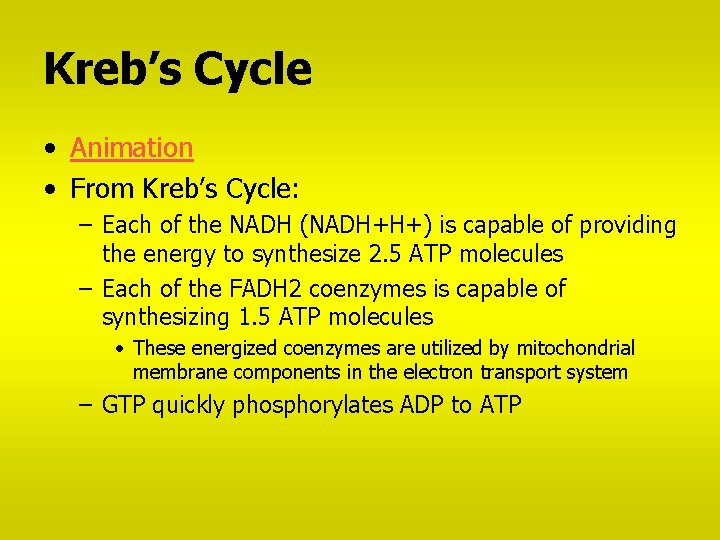 Kreb’s Cycle • Animation • From Kreb’s Cycle: – Each of the NADH (NADH+H+)