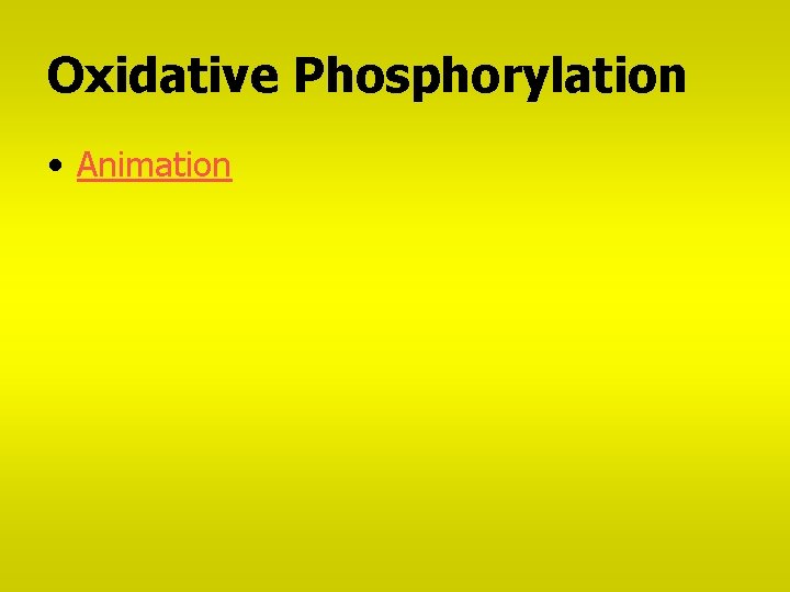 Oxidative Phosphorylation • Animation 