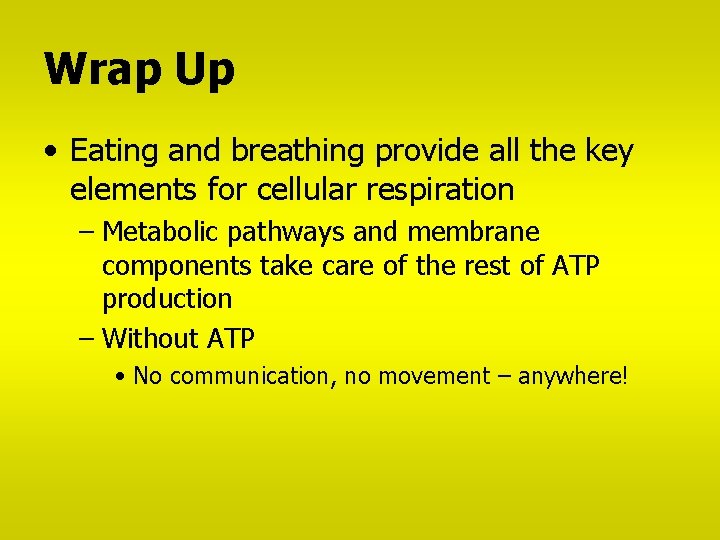 Wrap Up • Eating and breathing provide all the key elements for cellular respiration