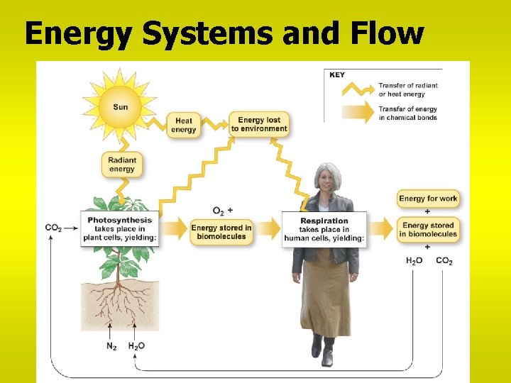 Energy Systems and Flow 