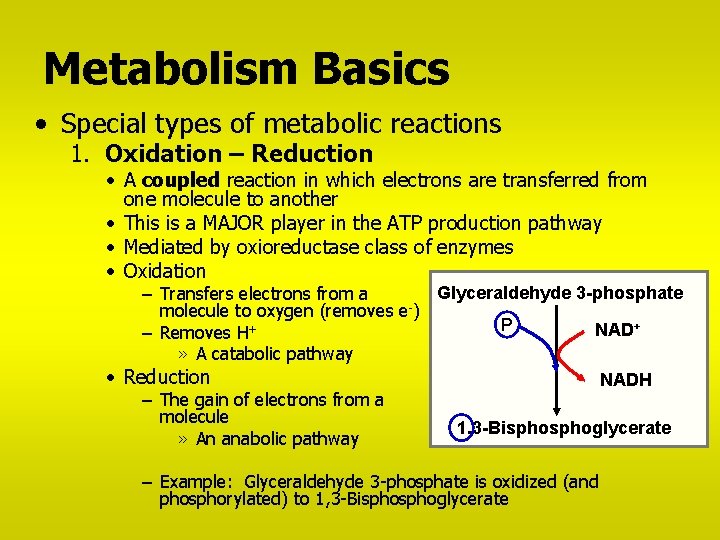 Metabolism Basics • Special types of metabolic reactions 1. Oxidation – Reduction • A