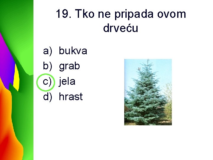 19. Tko ne pripada ovom drveću a) b) c) d) bukva grab jela hrast