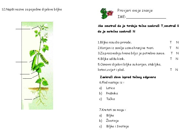 12. Napiši nazive za pojedine dijelove biljke Provjeri svoje znanje IME: _________ Ako smatraš