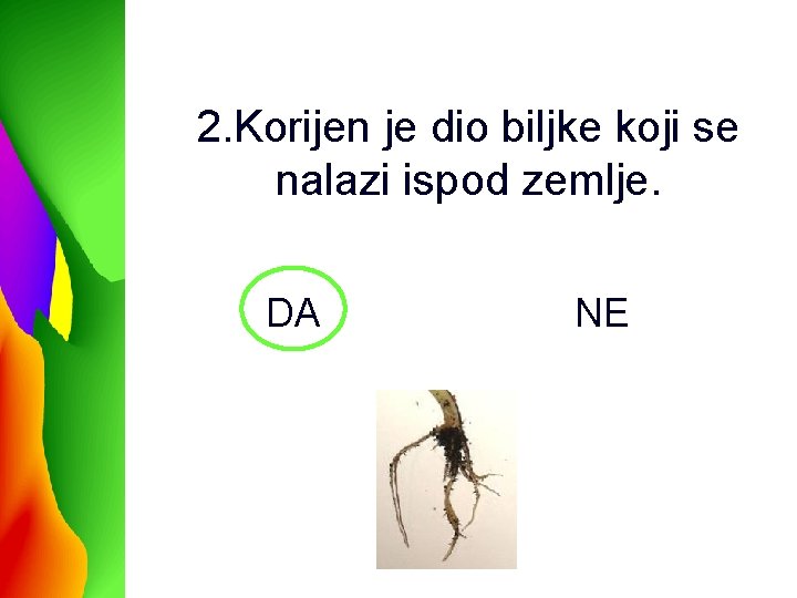 2. Korijen je dio biljke koji se nalazi ispod zemlje. DA NE 