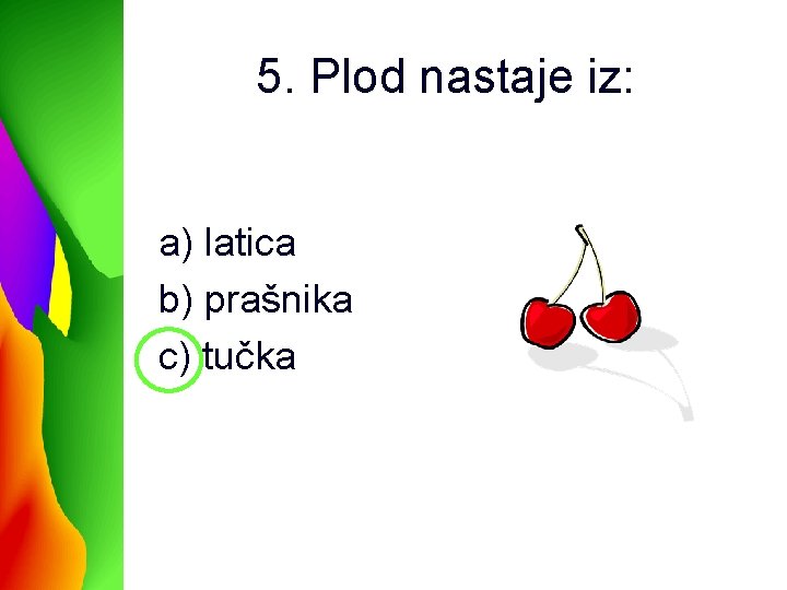5. Plod nastaje iz: a) latica b) prašnika c) tučka 