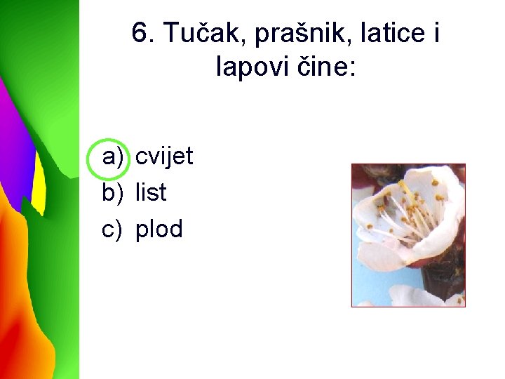 6. Tučak, prašnik, latice i lapovi čine: a) cvijet b) list c) plod 