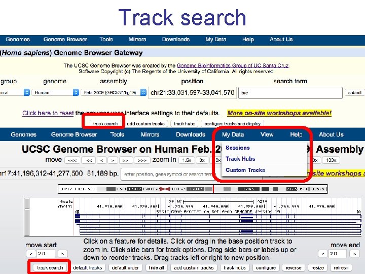 Track search 