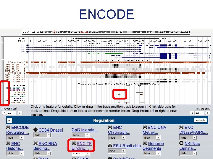 ENCODE 