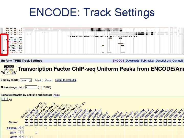ENCODE: Track Settings 