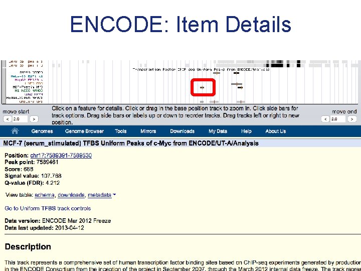 ENCODE: Item Details 